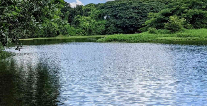 karanji lake mysore timings